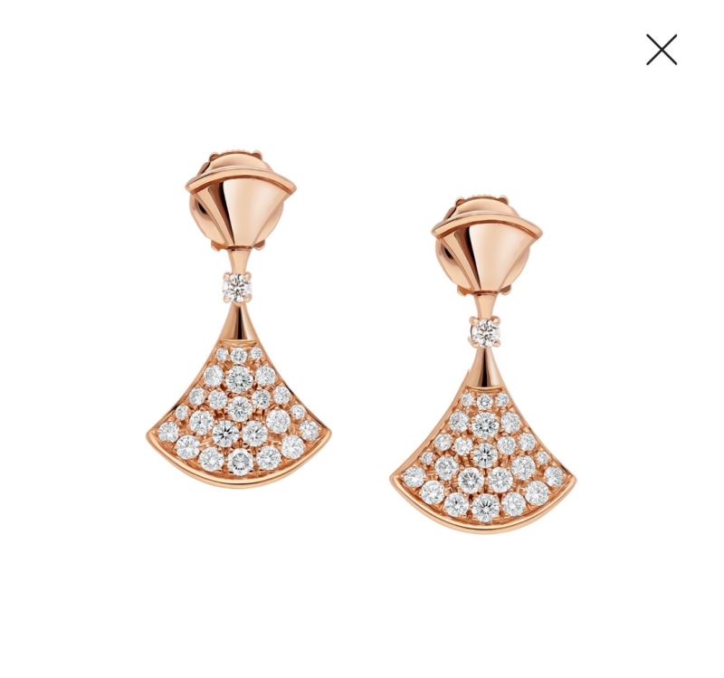 Unclassified Brand Earrings